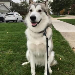 Meet your Posher, Snezana